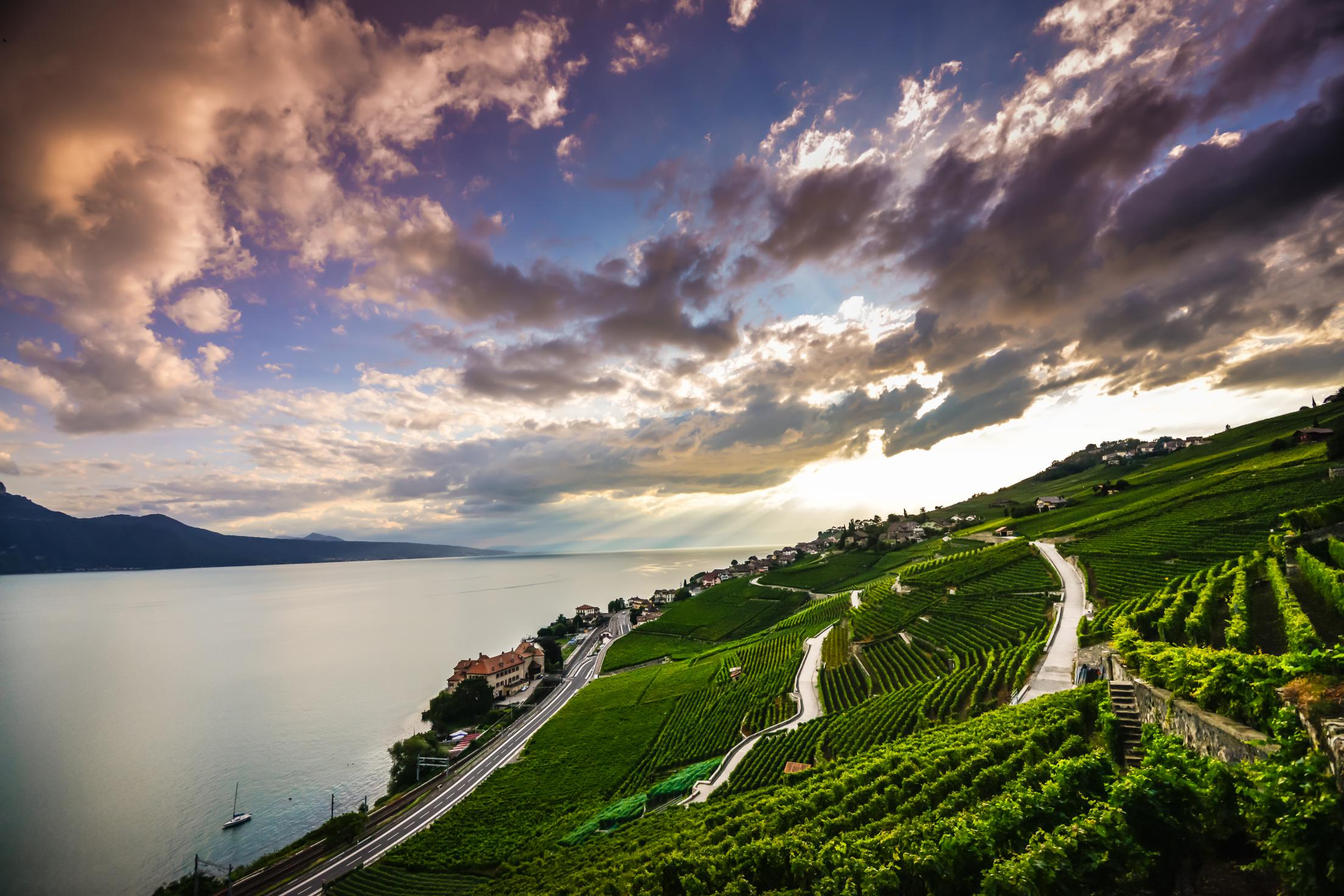 Lavaux201728c29MaudeRion 7496compressed