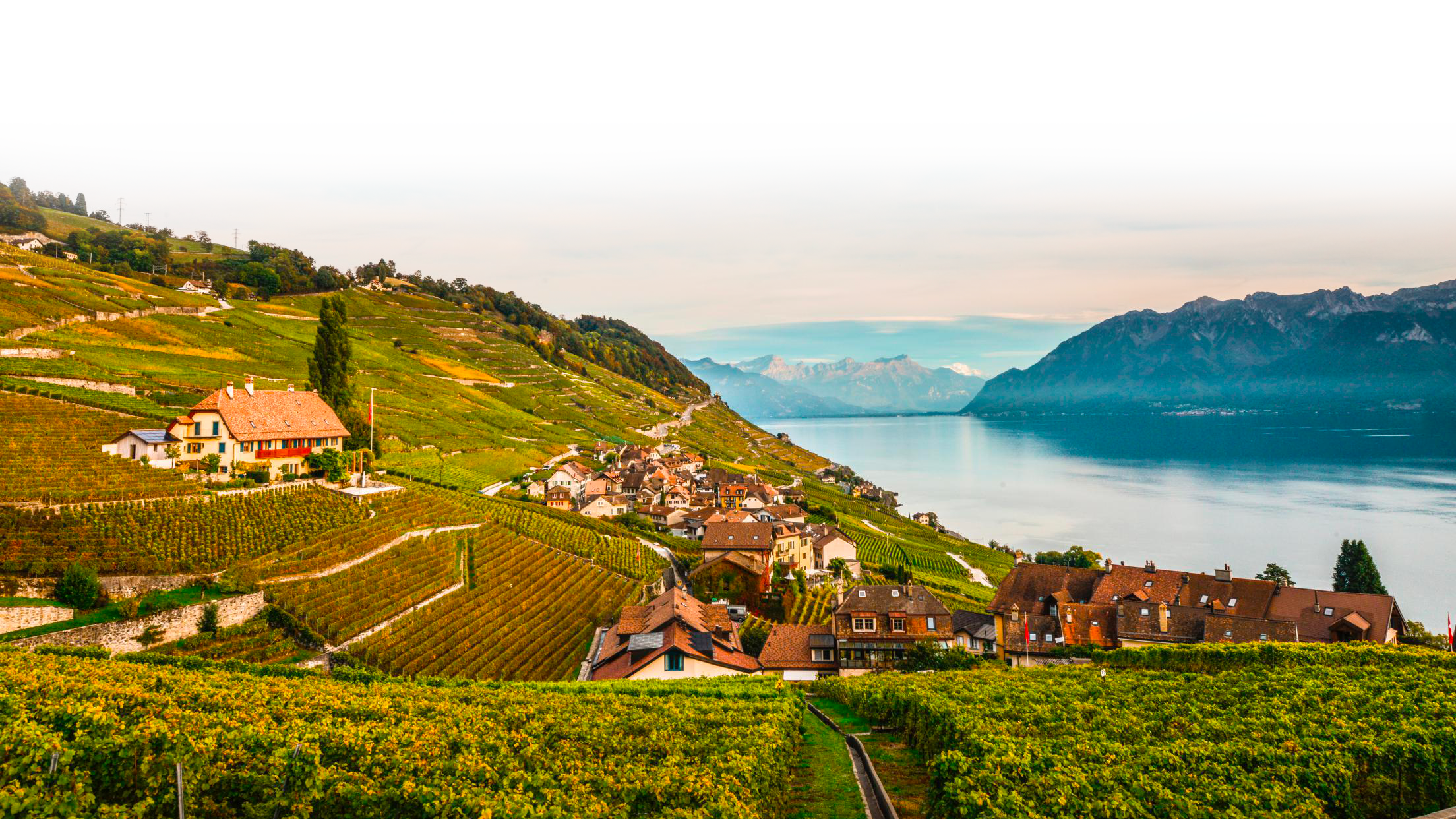 Lavaux201728c29MaudeRion 9compressed