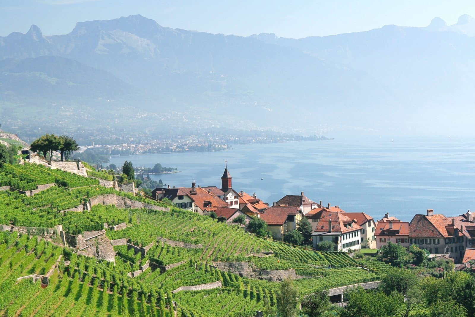 have a walk to lavaux original b0cf0151593f95 scaled e1753279034302
