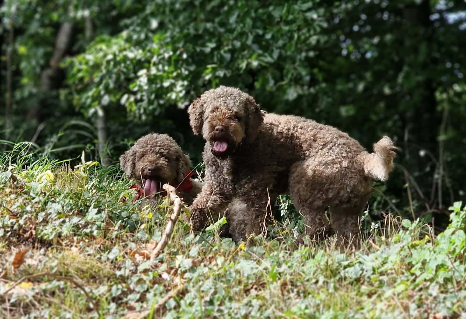 WhatsApp Image 2025 10 20 at 12.17.47